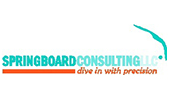 Springboard Consulting, LLC