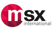 Msx Logo Sliced
