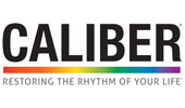 Caliber Logo Sliced