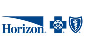 Horizon Blue Cross Logo Sliced